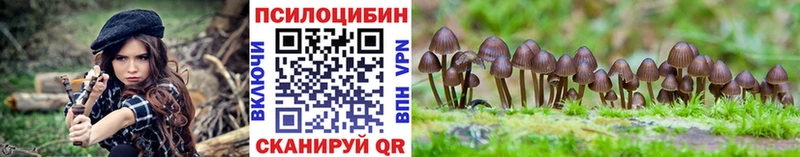 Галлюциногенные грибы мухоморы  Купить  Дюртюли 